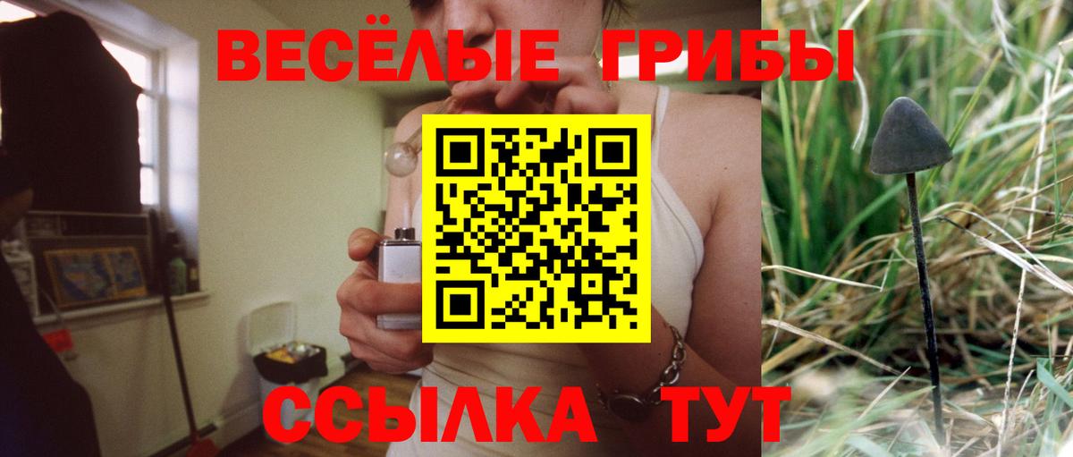 Псилоцибиновые грибы ЛСД Нижний Тагил